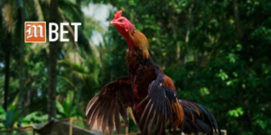 Đặc điểm nổi bật của Đá Gà Trực Tiếp C1 giúp người chơi dễ dàng tham gia và tận hưởng.