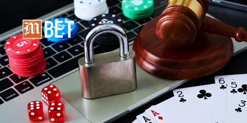 Mọi dữ liệu cá nhân được mã hóa theo chính sách bảo mật